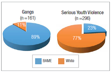 Gang and serious youth violence cohorts, by ethnicity, for the Manchester area