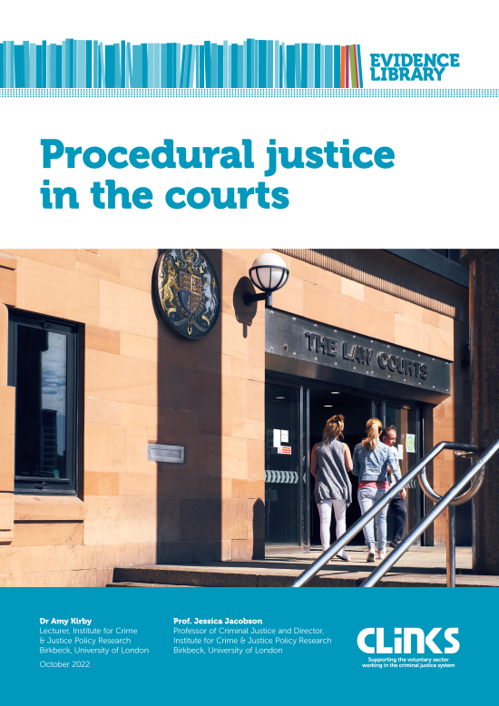 Procedural justice in the courts cover image