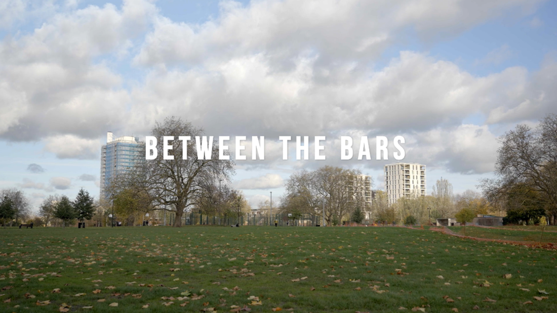 Between the bars
