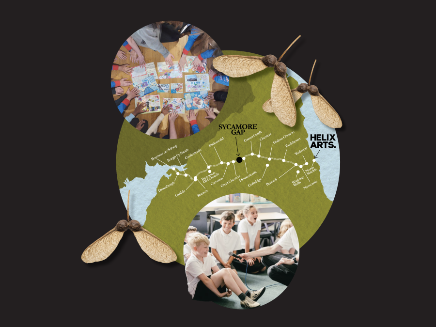 NCJAA Members and Network News: Helix Arts win the National Trust Sycamore Gap Commission