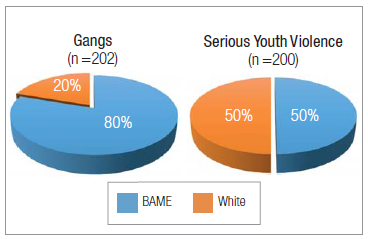 Gang and serious youth violence cohorts, by ethnicity, for the London area