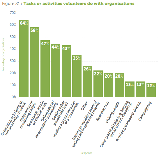 Tasks or activities volunteers do with organisations