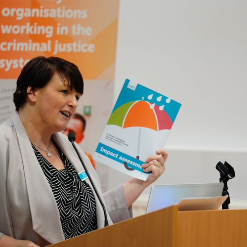 Anne Fox Impact Assessment