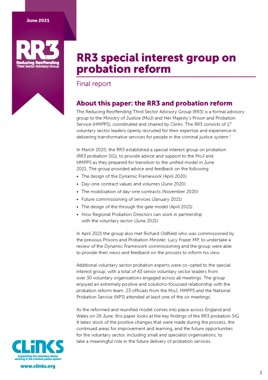 RR3 special interest group on probation reform - final report