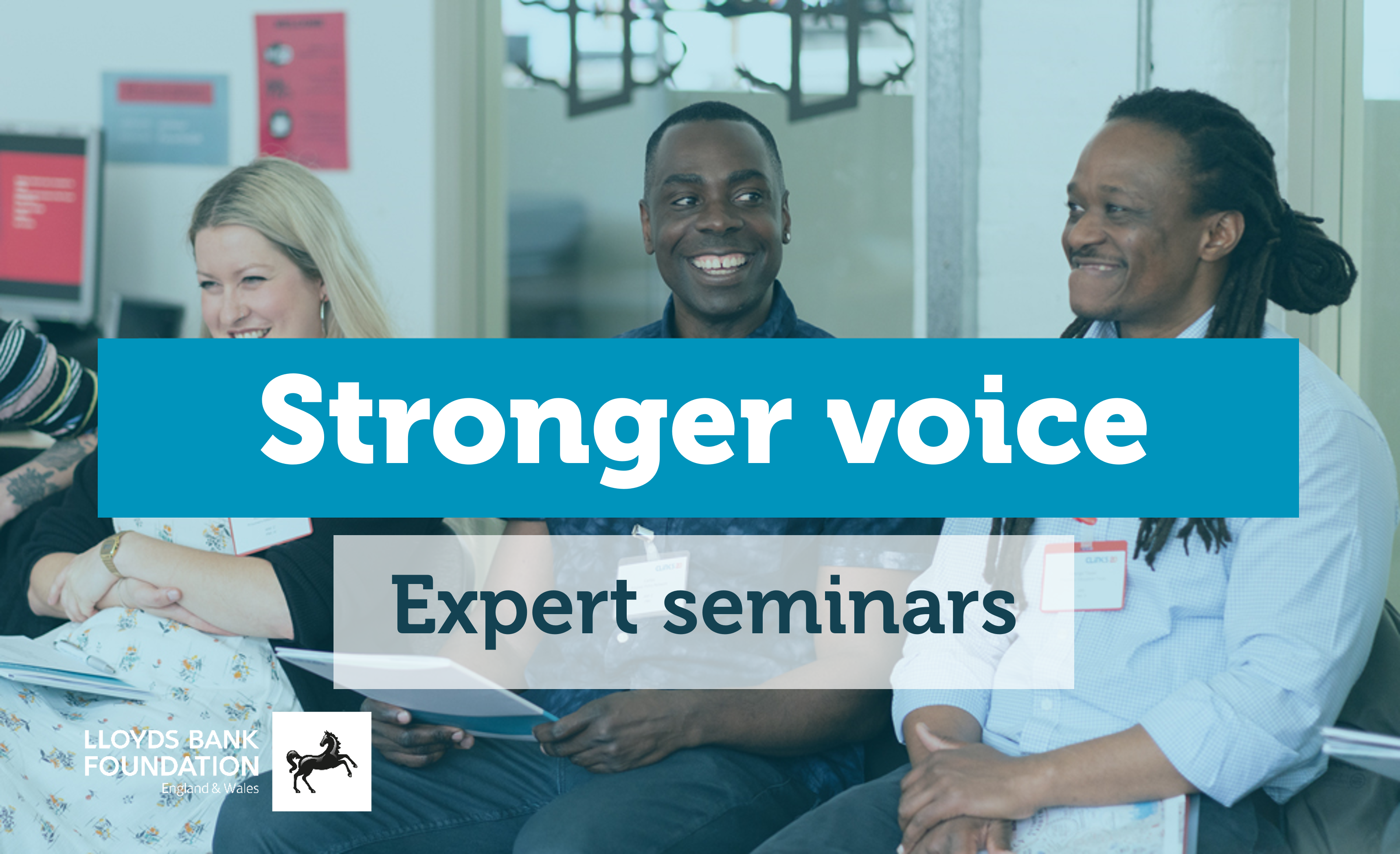 Stronger voice: Expert seminars image
